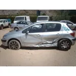 PEUGEOT 307 (S1) '2002 XR GRIS