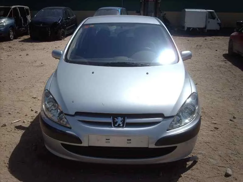 PEUGEOT 307 (S1) '2002 XR GRIS
