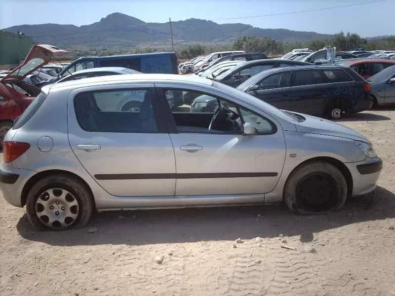 PEUGEOT 307 (S1) '2002 XR GRIS