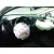 SEAT IBIZA (6J5) '2010 STYLANCE / STYLE BLANCO