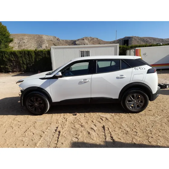 Peugeot 2008 II (UD_, US_, UY_, UJ_, UR_, UC_) 2019