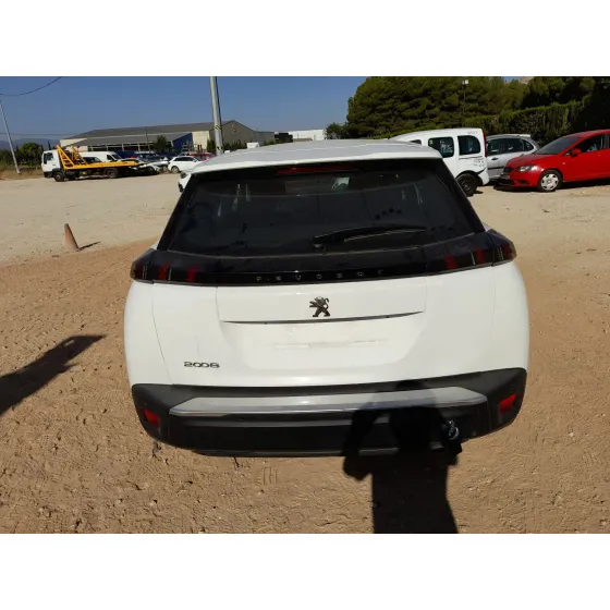 Peugeot 2008 II (UD_, US_, UY_, UJ_, UR_, UC_) 2019