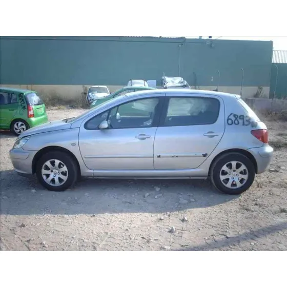 PEUGEOT 307 (S1) '2001 XN GRIS