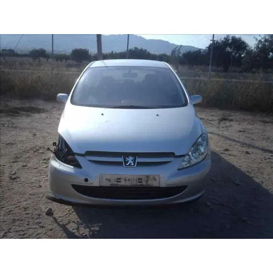 PEUGEOT 307 (S1) '2001 XN GRIS