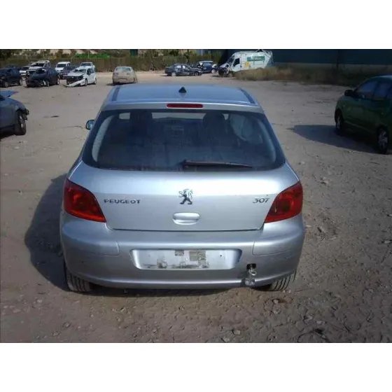 PEUGEOT 307 (S1) '2001 XN GRIS