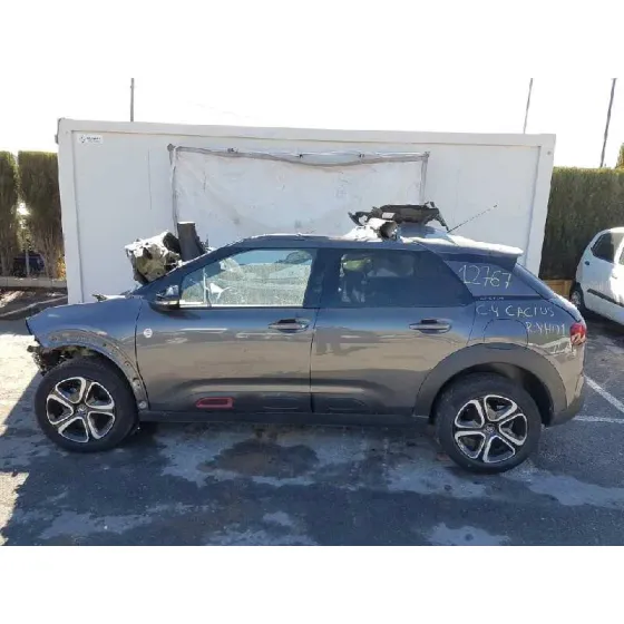 CITROEN C4 CACTUS '2020 C-SERIES MARRON