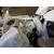 FIAT NUOVA 500 (150) '2008 POP BLANCO