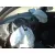 SEAT IBIZA (6L1) SEAT IBIZA (6L1) '2004 SIGNO NEGRO 2002