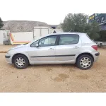 PEUGEOT 307 (S1) '2004 XR GRIS
