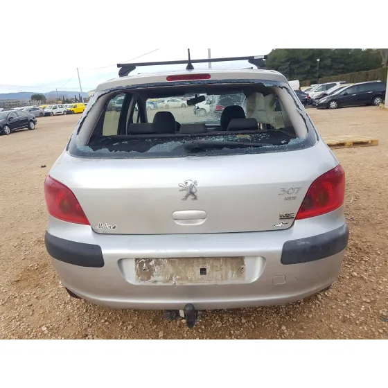 PEUGEOT 307 (S1) '2004 XR GRIS