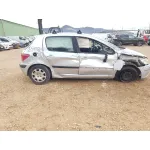 PEUGEOT 307 (S1) '2004 XR GRIS