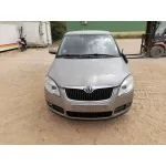 Skoda FABIA II (542) 2007