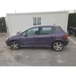 PEUGEOT 307 (S1) '2002 XS GRIS OSCURO