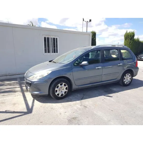 PEUGEOT 307 BREAK/SW (S2) '2006 SW GRIS OSCURO