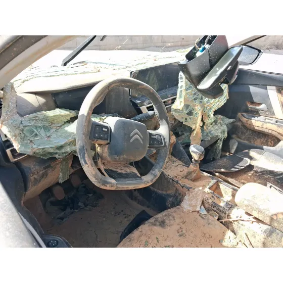 Citroen C4 III (BA_, BB_, BC_) 2020