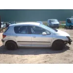 PEUGEOT 307 (S1) '2002 XR GRIS