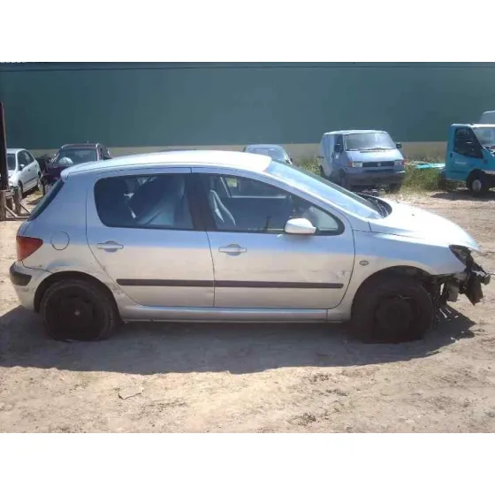 PEUGEOT 307 (S1) '2002 XR GRIS