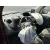 Renault KANGOO BE BOP (KW0/1_) 2009