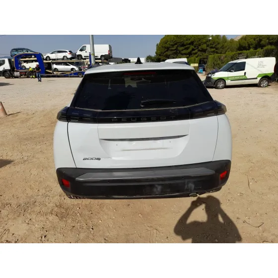 Peugeot 2008 II (UD_, US_, UY_, UJ_, UR_, UC_) 2019