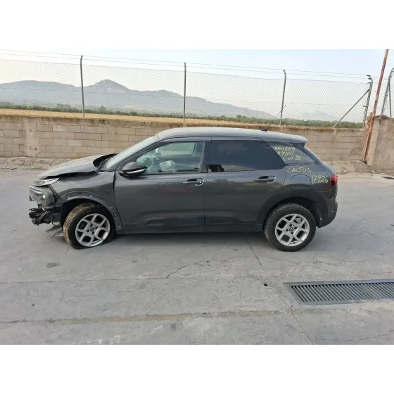 Citroen C4 CACTUS 2018