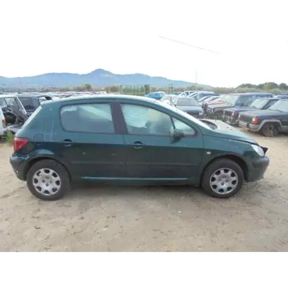 PEUGEOT 307 (S1) '2001 XT VERDE