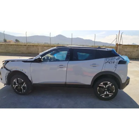 Peugeot 2008 II (UD_, US_, UY_, UJ_, UR_, UC_) 2019