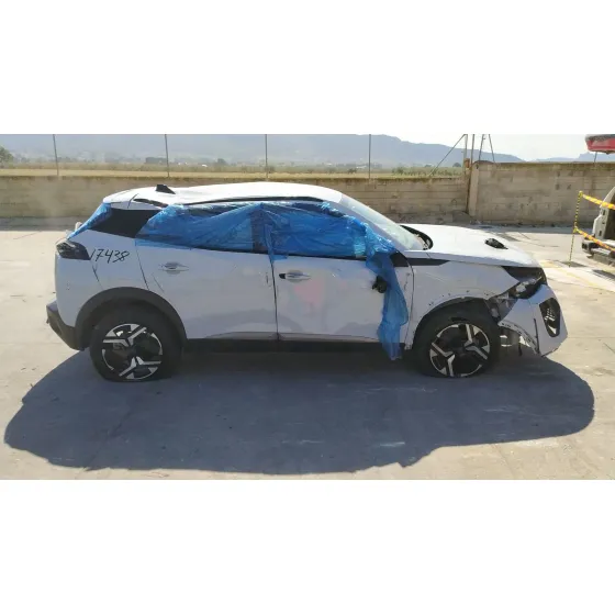 Peugeot 2008 II (UD_, US_, UY_, UJ_, UR_, UC_) 2019