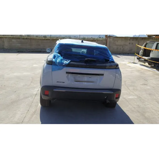 Peugeot 2008 II (UD_, US_, UY_, UJ_, UR_, UC_) 2019