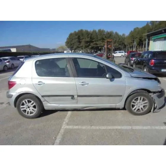 PEUGEOT 307 (S1) '2002 XR GRIS
