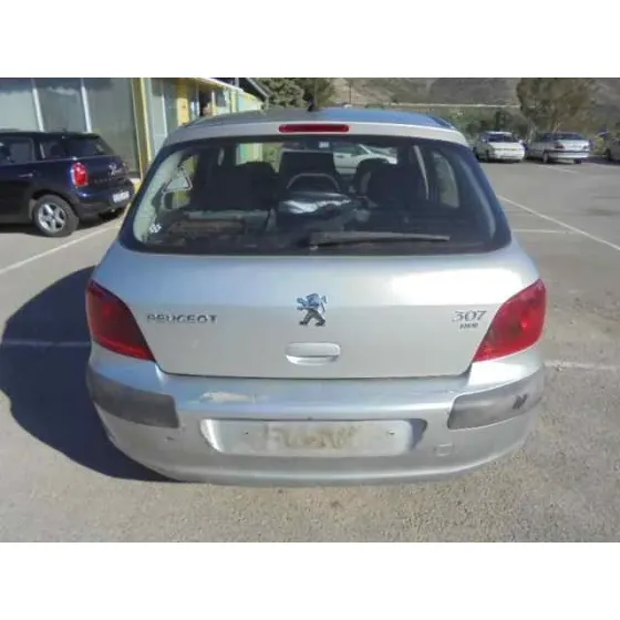 PEUGEOT 307 (S1) '2002 XR GRIS