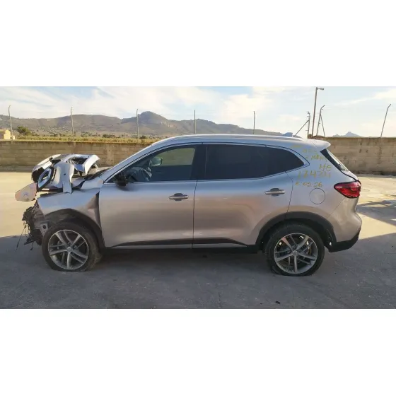 Mg HS (AS23) 2020