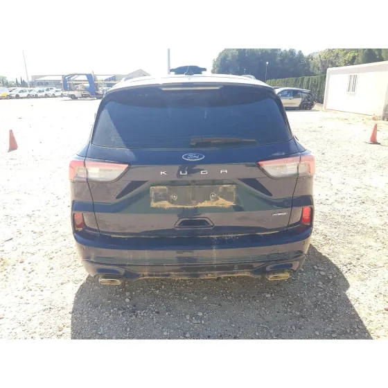 Ford KUGA III (DFK) 2019
