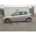 PEUGEOT 307 (S1) '2002 XS GRIS