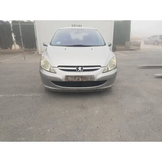PEUGEOT 307 (S1) '2002 XS GRIS
