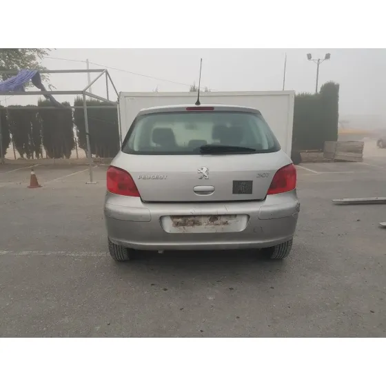 PEUGEOT 307 (S1) '2002 XS GRIS