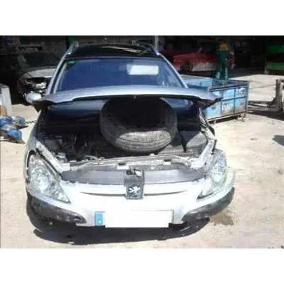 PEUGEOT 307 BREAK / SW (S1) '2002 2.0 HDI CAT GRIS