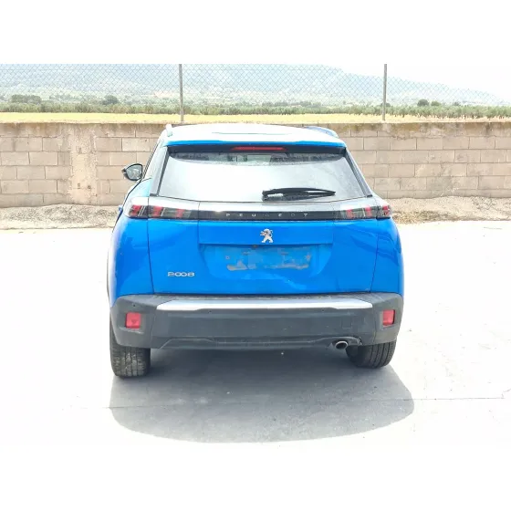 Peugeot 2008 II (UD_, US_, UY_, UJ_, UR_, UC_) 2019
