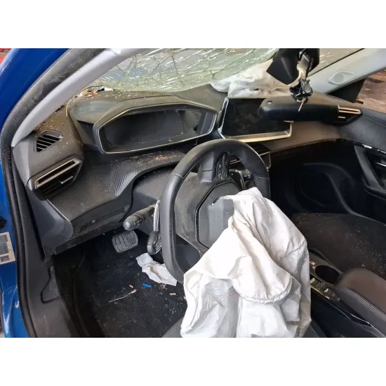 Peugeot 2008 II (UD_, US_, UY_, UJ_, UR_, UC_) 2019