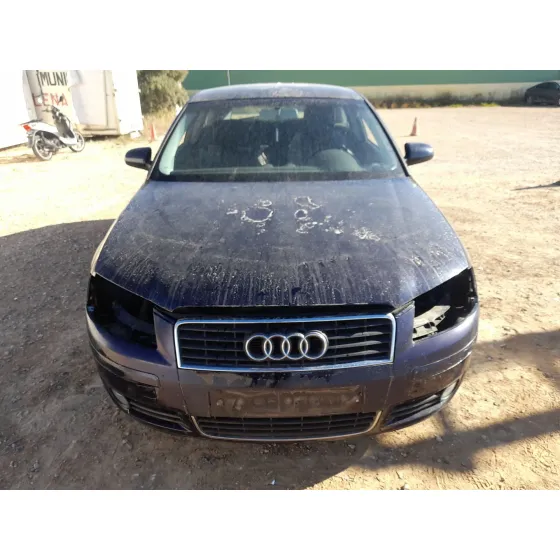 Audi A3 (8P1) 2003