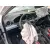 Seat ARONA (KJ7, KJP) 2017