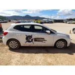Seat IBIZA V (KJ1, KJG) 2020