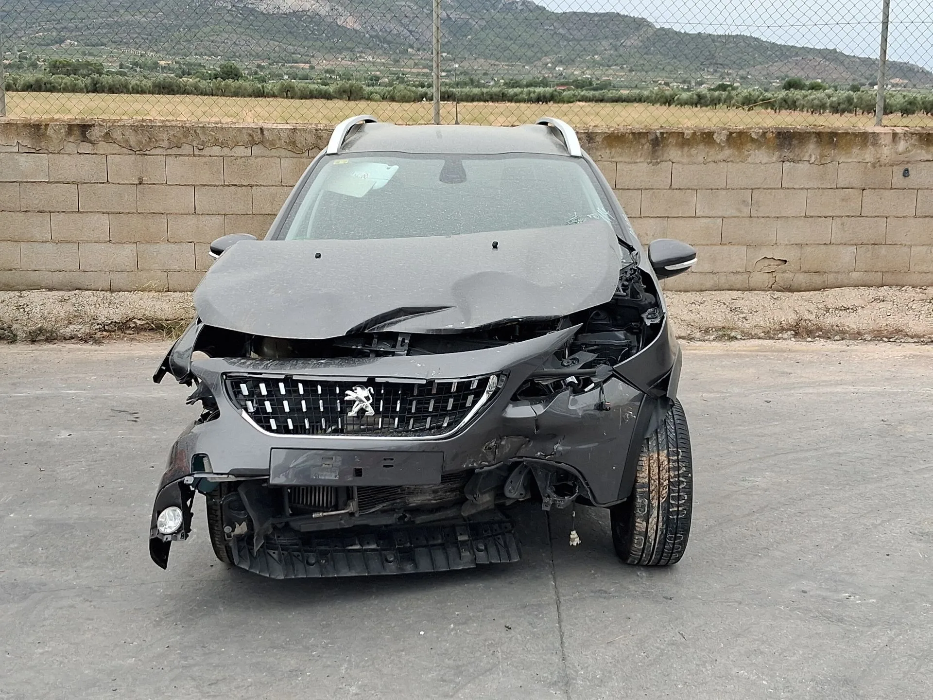 Peugeot 2008 I (CU_) 2015