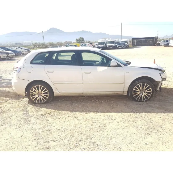 Audi A3 (8P1) 2009