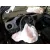 Toyota YARIS (_P13_) 2012