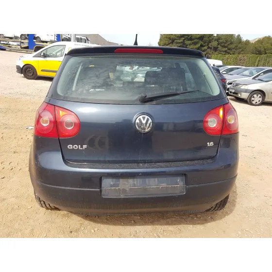 Volkswagen GOLF V (1K1) 2004