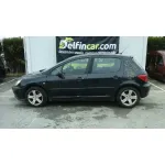 PEUGEOT 307 (S1) '2001 XS NEGRO
