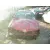 NISSAN ALMERA (N16/E) NISSAN ALMERA (N16/E) '2003 2.2 16V TURBODIESEL CAT ROJO 2000