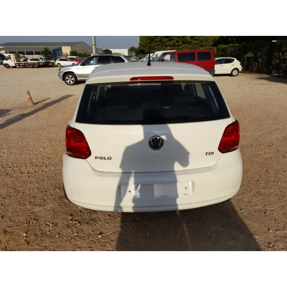Volkswagen POLO V (6R1, 6C1) 2009