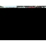 CITROEN C3 '2004 1.4 16V COLLECTION NEGRO
