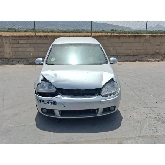 Volkswagen GOLF V (1K1) 2004